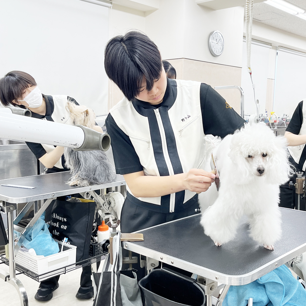 ２年生のトリミング実習♪